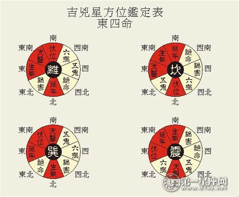 震宅意思|学风水先入手八宅：八宅风水全解读